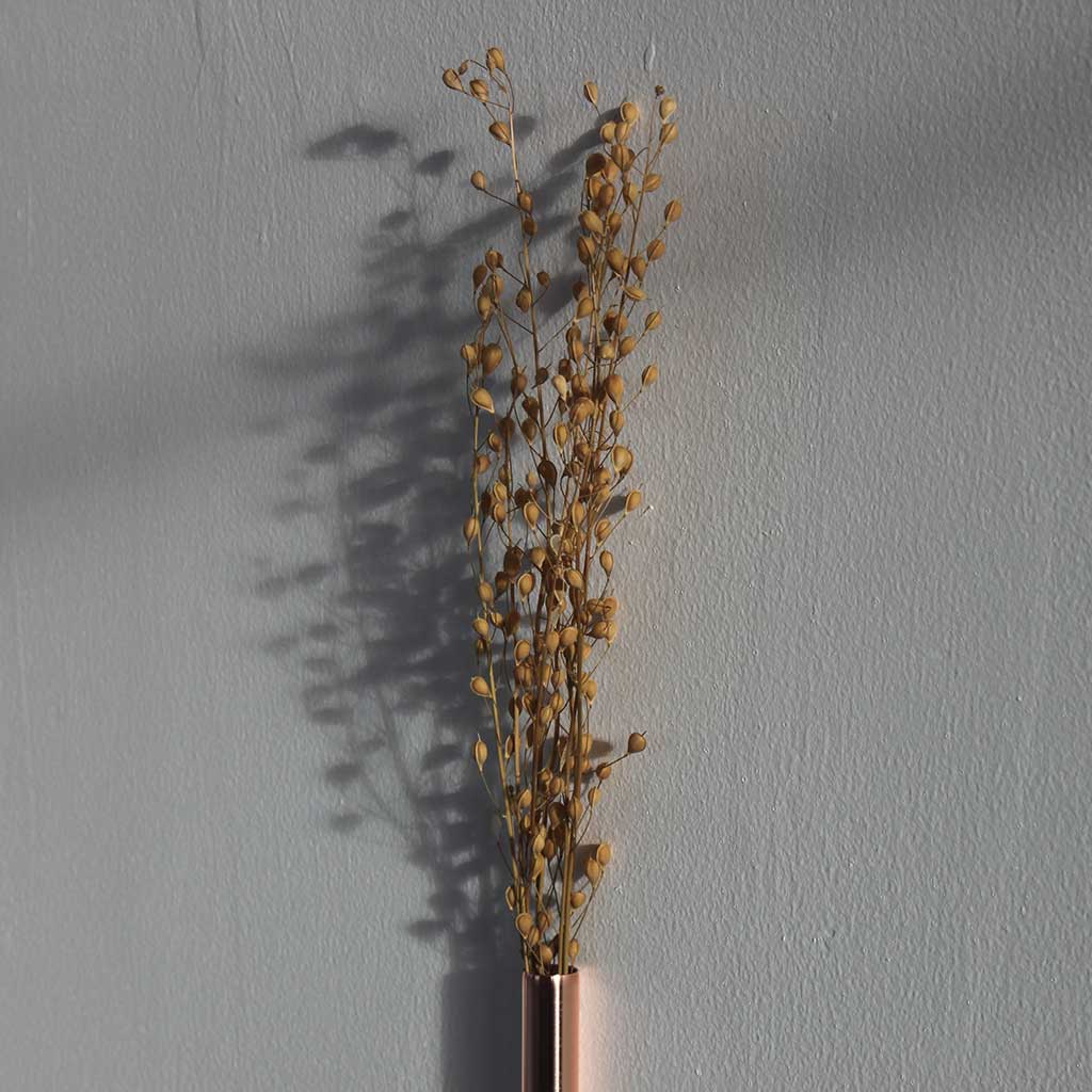 FlorLinea