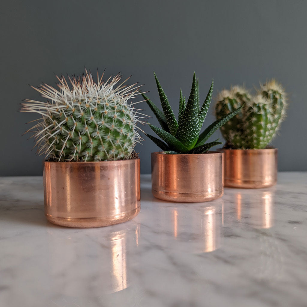 set-of-3-copper-planters-with-succulents-and-cactus-made-from-recycled-materials-by-kopper-kreation-in-dublin-ireland-2022