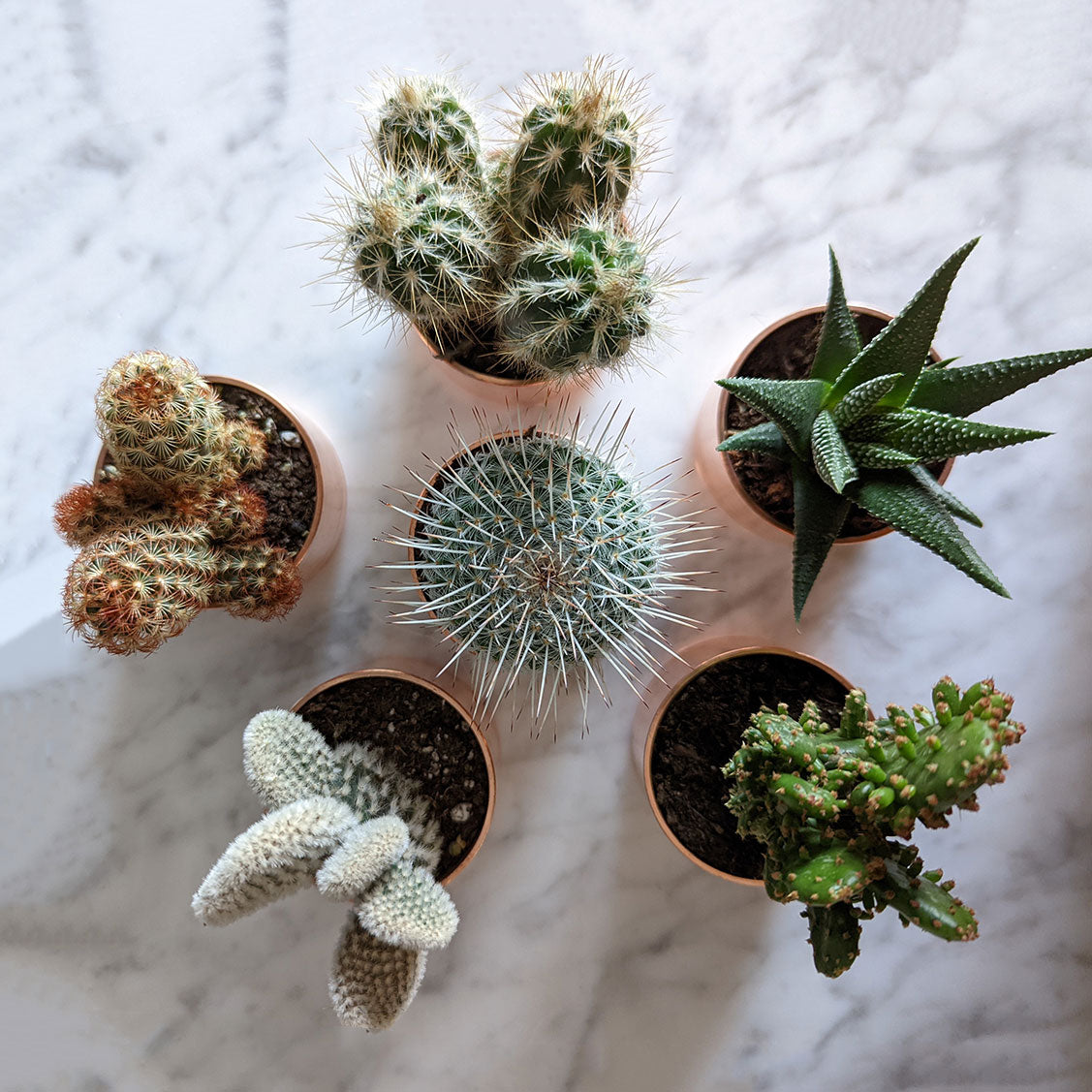 set-of-3-copper-planters-with-succulents-and-cactus-made-from-recycled-materials-by-kopper-kreation-in-dublin-ireland-2022