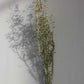 FlorLinea