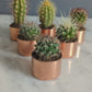 Baby Copper Planter