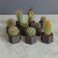 Baby Iron Planter