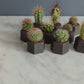 Baby Iron Planter