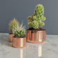 Baby Copper Planter