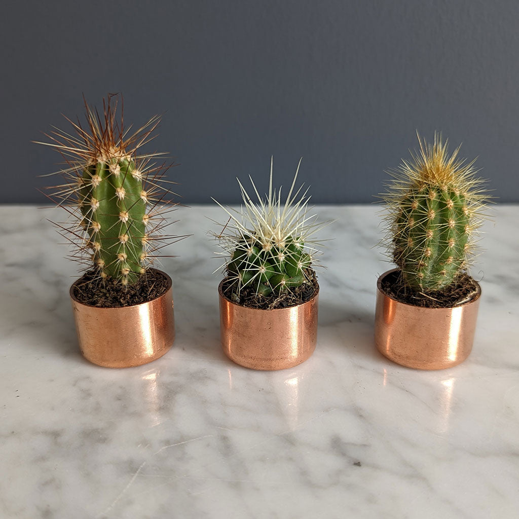 Baby Copper Planter