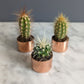 Baby Copper Planter