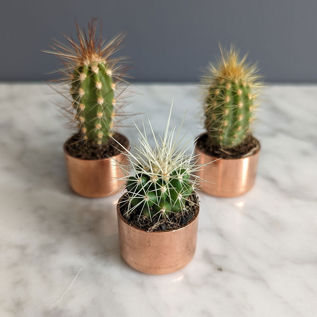 Baby Copper Planter