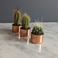 Baby Copper Planter