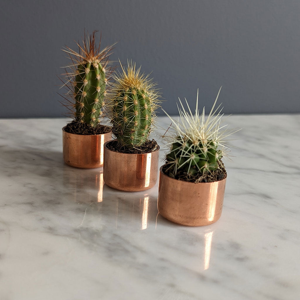 Baby Copper Planter