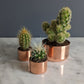Baby Copper Planter