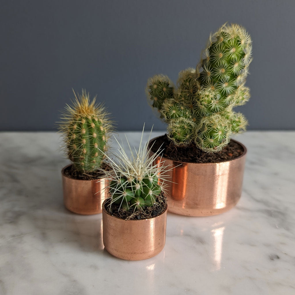 Baby Copper Planter